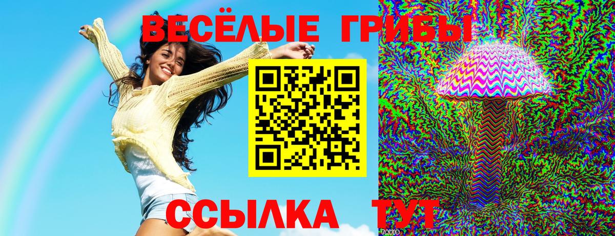 Псилоцибиновые грибы Cubensis Отрадное